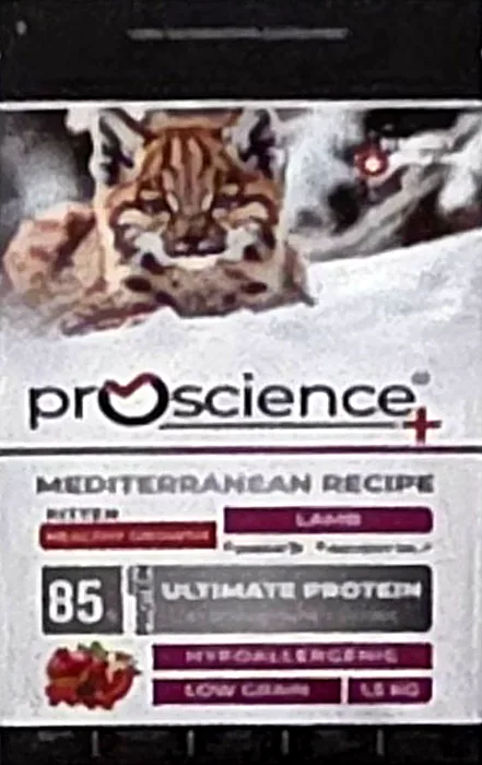 ProScience+ Kitten Αρνί