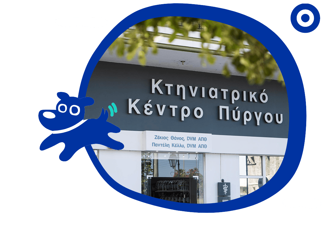 Veterinary Center Pyrgos